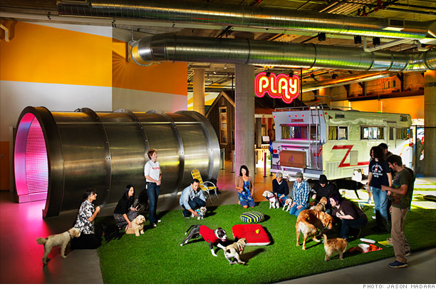 zynga staff with dogs