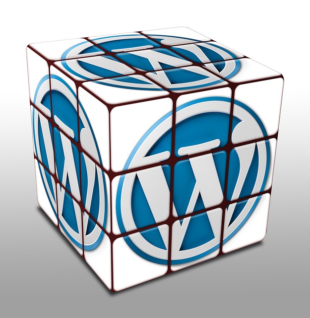 wordpress-seo